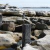 Remants of original La Perouse wharf, overlooking Botany Bay